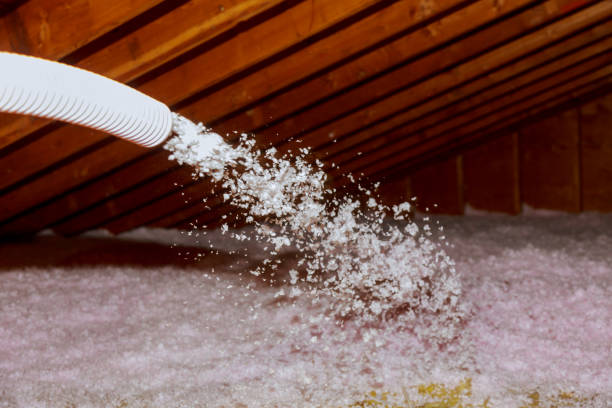 Best Commercial Insulation in Village Of Four Seasons, MO