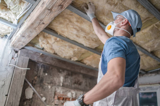 Best Specialized Insulation Services in Village Of Four Seasons, MO