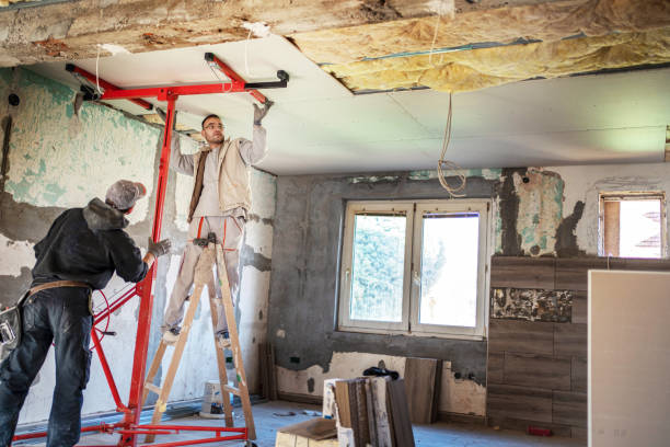 Best Eco-Friendly Insulation in Village Of Four Seasons, MO