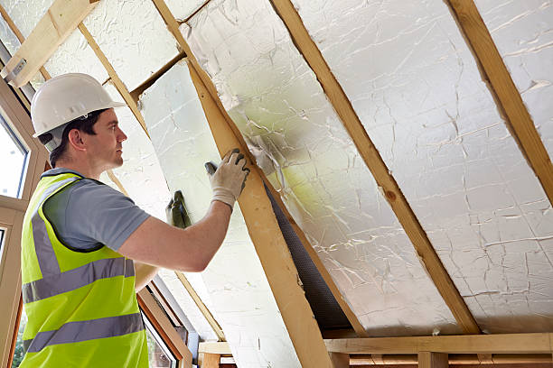 Best Residential Insulation in Village Of Four Seasons, MO