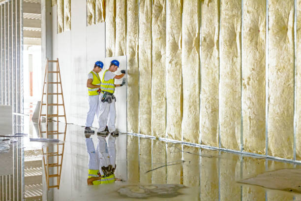 Best Spray Foam Insulation in Village Of Four Seasons, MO